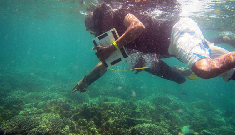 Participants monitoring the reef while snorkelling in the water