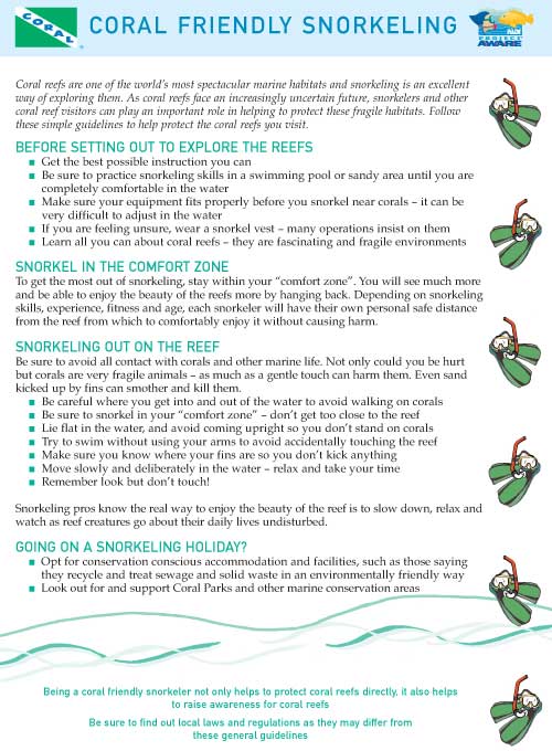 Coral Friendly Snorkelling Guidelines - click to download