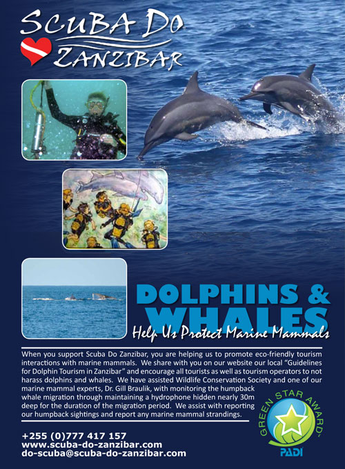 Scuba Do Zanzibar Protecting Dolphins & Whales Poster - click to download