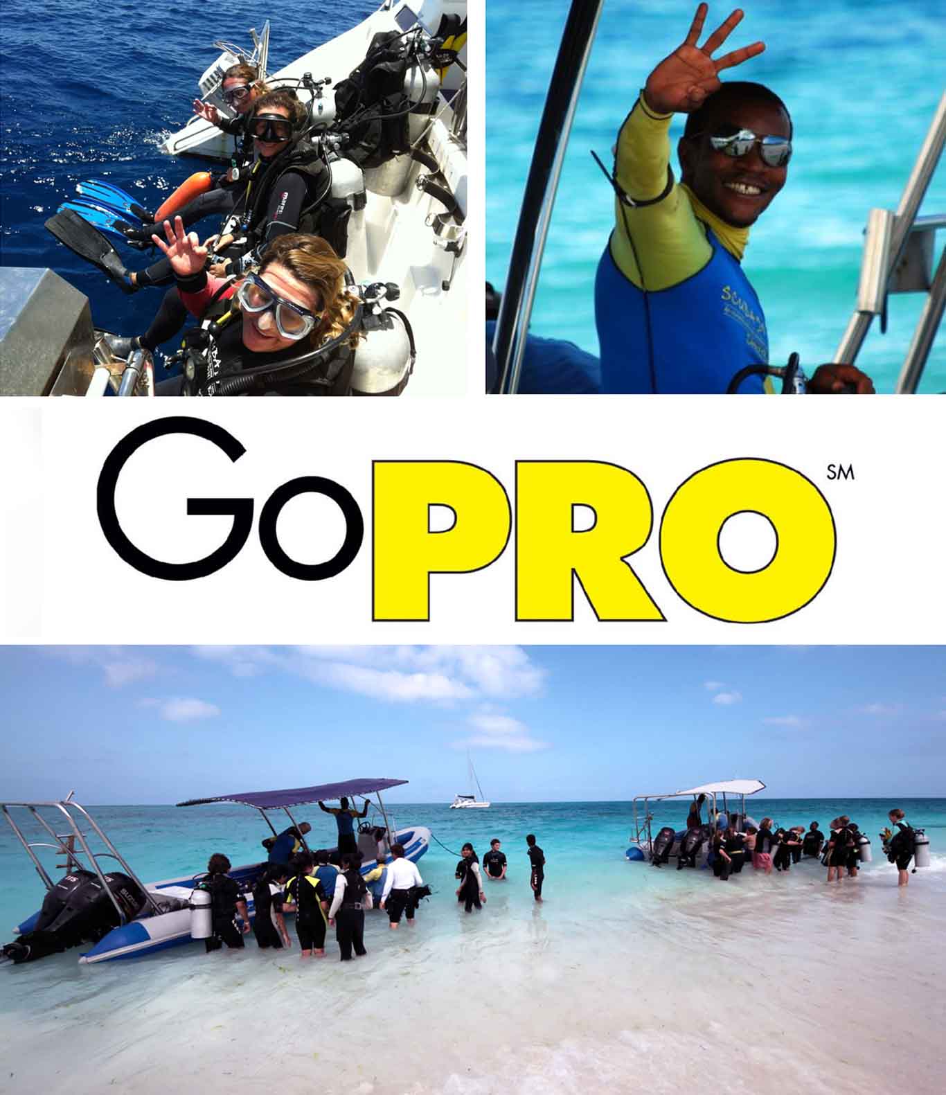 PADI GO PRO Logo and Link