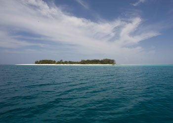 View of the clear waters around Mnemba Island from the boat