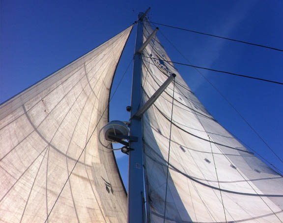 Sails against blue sky - click to go to Sailing page