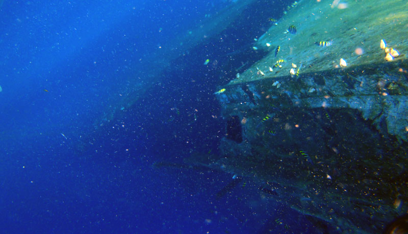 Underwater picture of a hole in the portside of the floating shipwreck