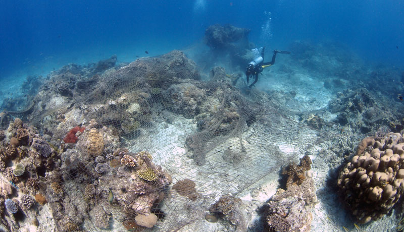 Scuba Do Diver inspecting ghostnet over reef