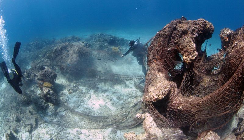 Scuba Do Zanzibar Divers removing abandoned net from the reef