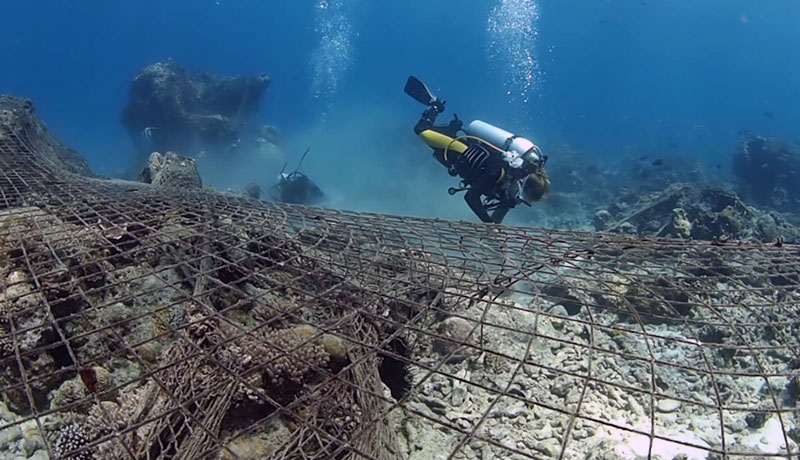 Scuba Do Zanzibar Diver cutting abandoned net off of the coral reef