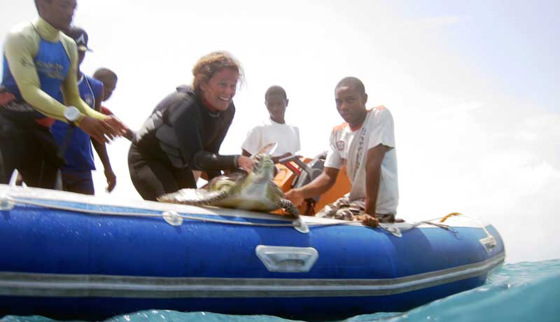 Scuba Do Zanzibar releasing a sea turtle back to the ocean which was captured by fishermen