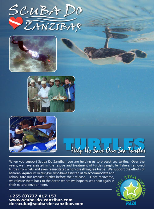 Scuba Do Zanzibar's Saving Sea Turtles Poster - click to download